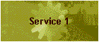 Service 1