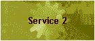 Service 2