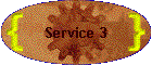 Service 3